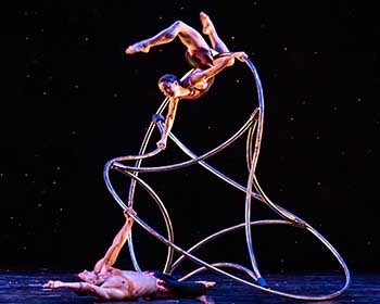 Momix - Viva Momix